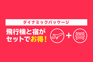 飛行機と宿がセットでお得！